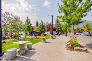 Sun Bird Getaway - Ketchum - 7