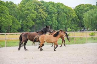 Siko Grand Hotel Suzhou Yangcheng - Suzhou - 2