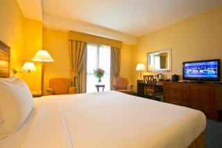 Mercure Leonardo da Vinci Rome Airport - 7