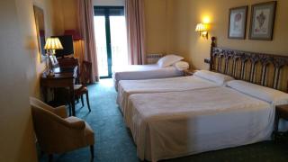Hotel Ele Puente Romano de Salamanca - 1