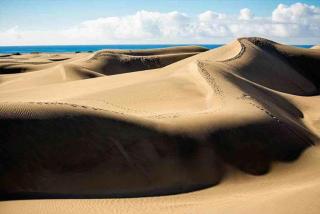 Bungalows Maspalomas Oasis Club - All Inclusive. - 5