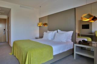Delfim Douro Hotel - Lamego - 7