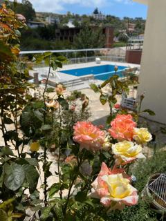 Rose Hotel B&B - Patara - 8