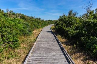 Evancy Platier d'Oye - Oye-Plage - Oye-Plage - 1