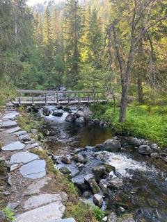 Sonfjällsgårdens Wärdshus & Hotell - 7