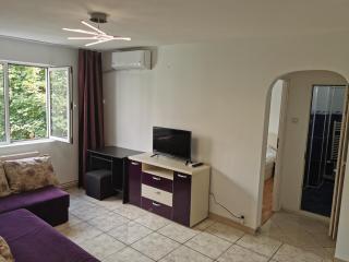 Confortable Cozy Apt - 8