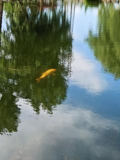 Holiday Park Dunay - 1