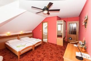 Depandance Hotel u Crlíků - Tetčice - 7