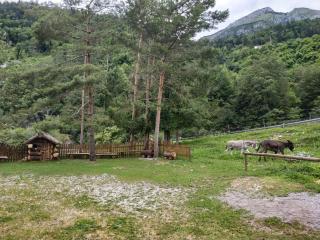 B&B l'Asinello Rampante - Arta Terme - 1