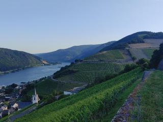 Berg´s Backpacker - Rüdesheim am Rhein - 6
