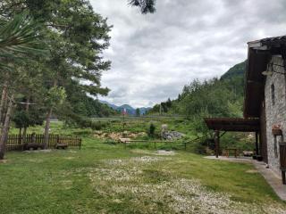 B&B l'Asinello Rampante - Arta Terme - 3