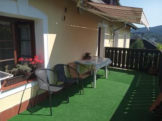 Pension Červená - Kašperské Hory - 8