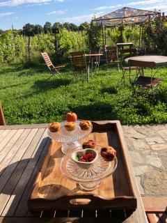 Cascina La Maddalena Bed & Wine - Rocca Grimalda - 8