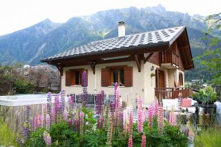 Chamonix Large Chalet, Sleeps 12, 200m2, 5 Bedroom, 4 Bathroom, Garden, Jacuzzi, Sauna - Chamonix - 7
