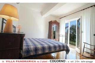 Villa tra gli ulivi - bellissima vista panoramica - San Salvatore - 9