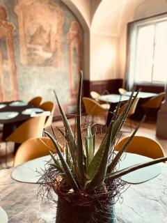 Stadthotel Styria - Steyr - 4