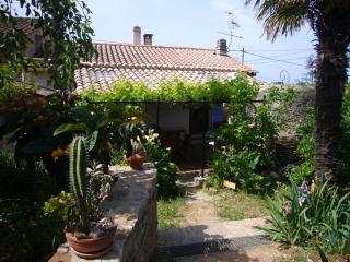 Maison de charme près de la mer - Bormes-les-Mimosas - 9