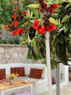 Holiday Home Ali - Piqeras - 3