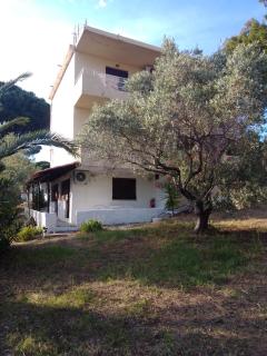 Anemos Studios - Vassilias - 2