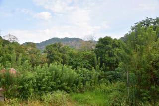 Wingate Hotel Wilgamuwa - Wasgamuwa - 9