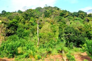 Wingate Hotel Wilgamuwa - 8