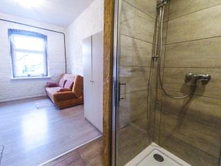Mini zaciszny apartament w industrialnym stylu - Łódź - 0