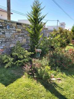 Apartments and Villas Janev - Star Dojran - 3