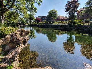 Le Jardin Minelle - Arras - 4