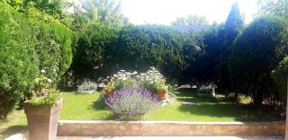 Kalia, Sunny beach - Sunny Beach - 1