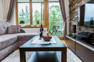 Aqua Park Residence VIPAPARTAMENTY - Zakopane - 8