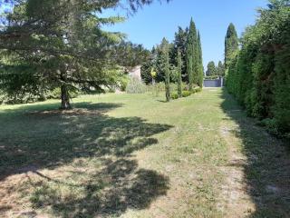LES CYPRES - Maillane - 8