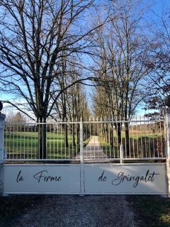 La Ferme de Gringalet - Anthon - 1