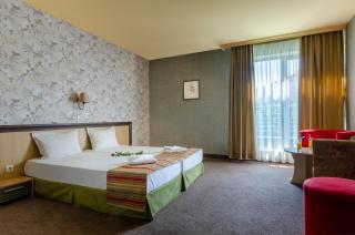 Alliance Hotel - Plovdiv - 8