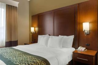 Comfort Inn & Suites - Amarillo - 4
