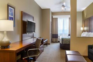 Comfort Inn & Suites - Amarillo - 2