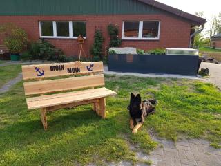 Biolandhof Dorn Highlander vom Elbdeich - 5