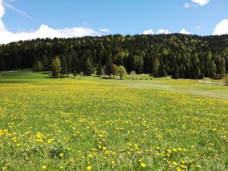 Wanderlust B&B - Folgaria - 4