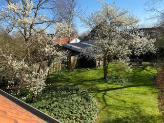 De Windroos | Atelier Aan Zee - 4