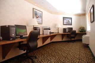 Holiday Inn Express Hotel & Suites Raton by IHG - Raton - 2