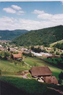 Wäldebauernhof - Gutach - 3