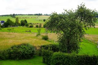B&B Domaine du Vieux Chêne - Stoumont - 5