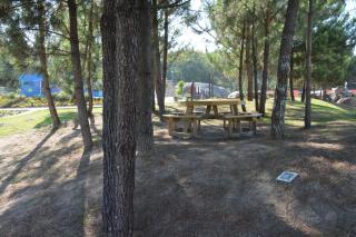 Mobility Friends Hostel - Barcelos - 2