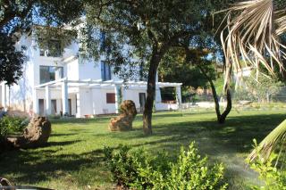 Villa La Conchiglia Rooms - Cala Liberotto - 4