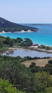 Maison sur Palombaggia - Porto Vecchio - 7