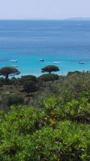 Maison sur Palombaggia - Porto Vecchio - 9