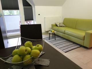 Apartma Kurji vrh - Chicken top - Kranjska Gora - 7