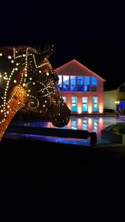 Hotel Eifelsteig - 3