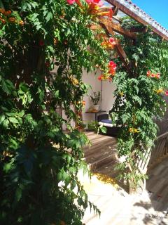 Wellness Apartments Ra- enjoy our jaccuzi, sauna, e bike ,fitness , waterskiing - Primošten - 2