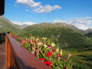 Appartamenti Millenium - Livigno - 5