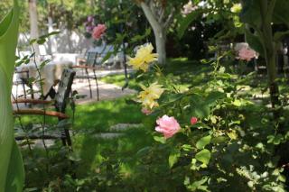 Hotel Vanilla - Fethiye - 1